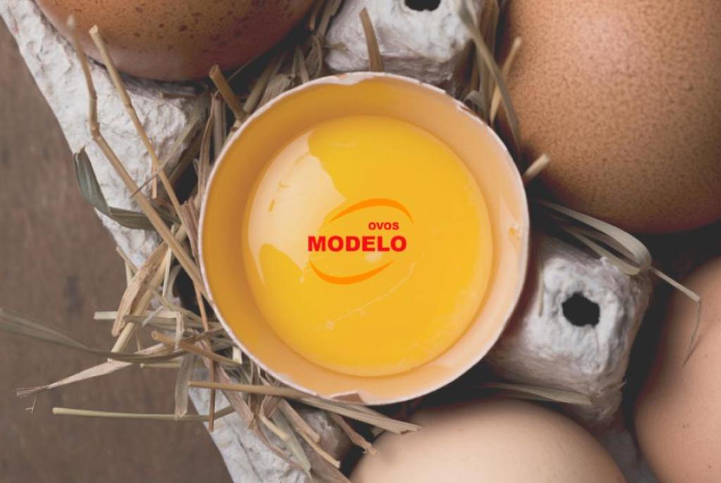 Ovos Modelo - Ovo é saúde