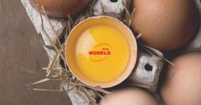 Ovos Modelo - Ovo é saúde